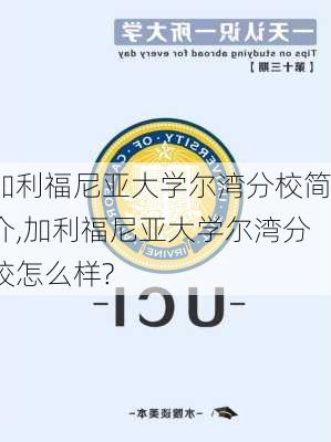 加利福尼亚大学尔湾分校简介,加利福尼亚大学尔湾分校怎么样?