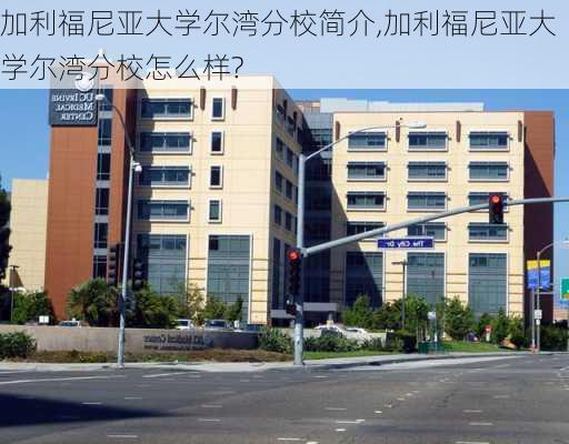 加利福尼亚大学尔湾分校简介,加利福尼亚大学尔湾分校怎么样?