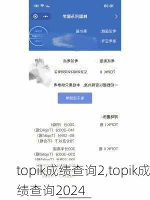 topik成绩查询2,topik成绩查询2024