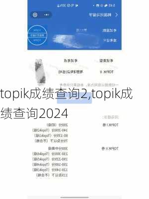 topik成绩查询2,topik成绩查询2024