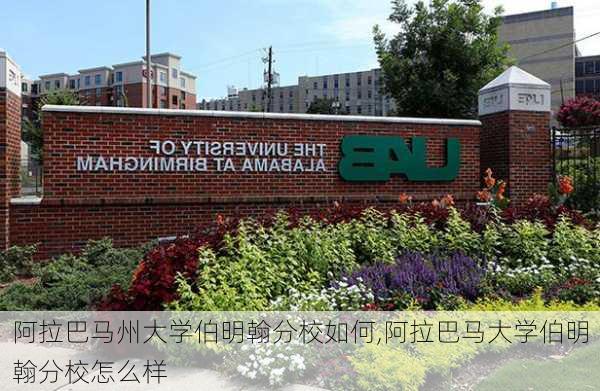 阿拉巴马州大学伯明翰分校如何,阿拉巴马大学伯明翰分校怎么样