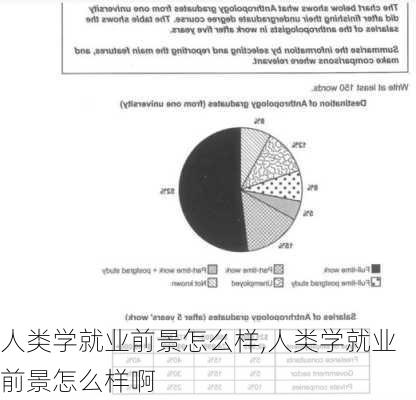 人类学就业前景怎么样,人类学就业前景怎么样啊