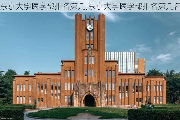 东京大学医学部排名第几,东京大学医学部排名第几名