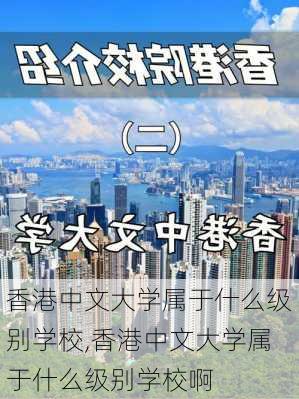 香港中文大学属于什么级别学校,香港中文大学属于什么级别学校啊