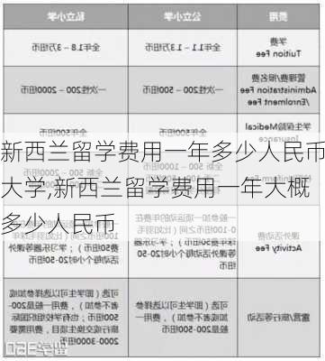 新西兰留学费用一年多少人民币大学,新西兰留学费用一年大概多少人民币