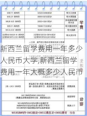 新西兰留学费用一年多少人民币大学,新西兰留学费用一年大概多少人民币