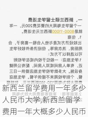 新西兰留学费用一年多少人民币大学,新西兰留学费用一年大概多少人民币