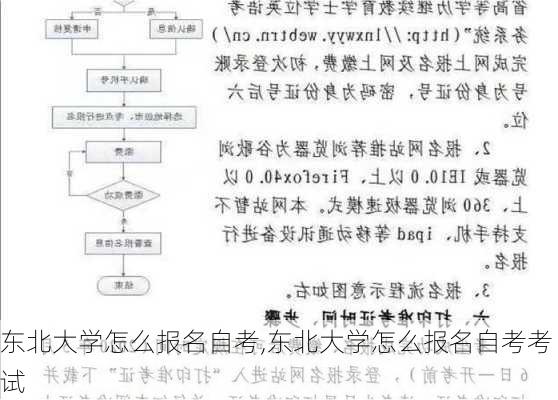 东北大学怎么报名自考,东北大学怎么报名自考考试