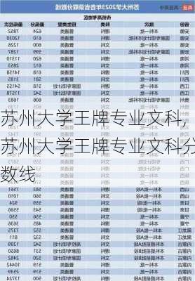 苏州大学王牌专业文科,苏州大学王牌专业文科分数线