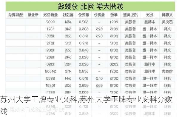 苏州大学王牌专业文科,苏州大学王牌专业文科分数线