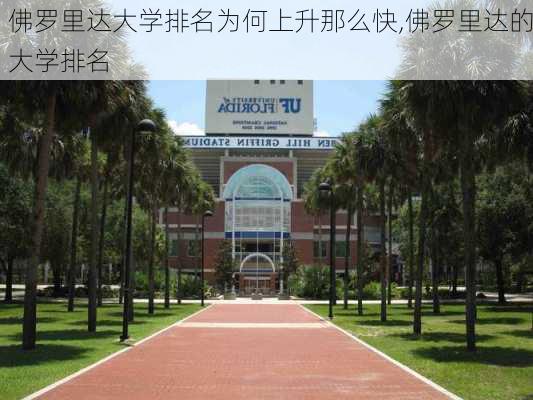 佛罗里达大学排名为何上升那么快,佛罗里达的大学排名