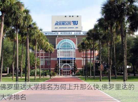 佛罗里达大学排名为何上升那么快,佛罗里达的大学排名