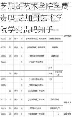 芝加哥艺术学院学费贵吗,芝加哥艺术学院学费贵吗知乎