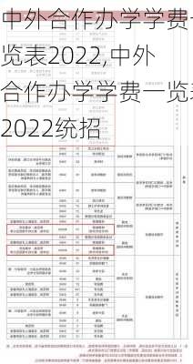 中外合作办学学费一览表2022,中外合作办学学费一览表2022统招