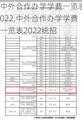 中外合作办学学费一览表2022,中外合作办学学费一览表2022统招