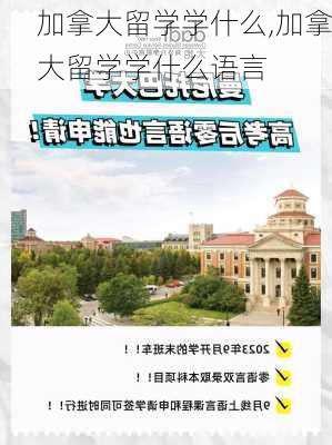 加拿大留学学什么,加拿大留学学什么语言