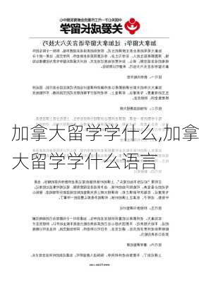 加拿大留学学什么,加拿大留学学什么语言