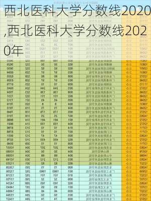 西北医科大学分数线2020,西北医科大学分数线2020年