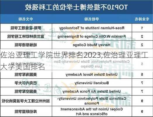 佐治亚理工学院世界排名2023,佐治理亚理工大学美国排名