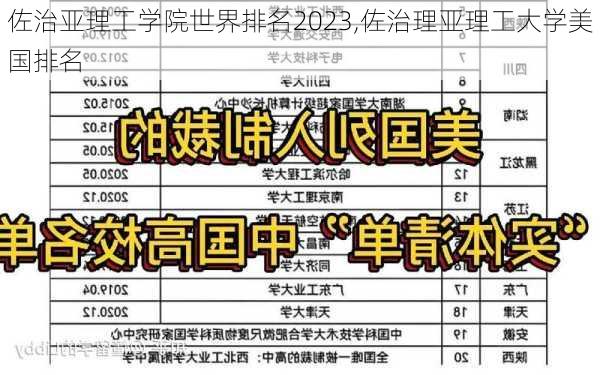 佐治亚理工学院世界排名2023,佐治理亚理工大学美国排名