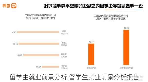 留学生就业前景分析,留学生就业前景分析报告