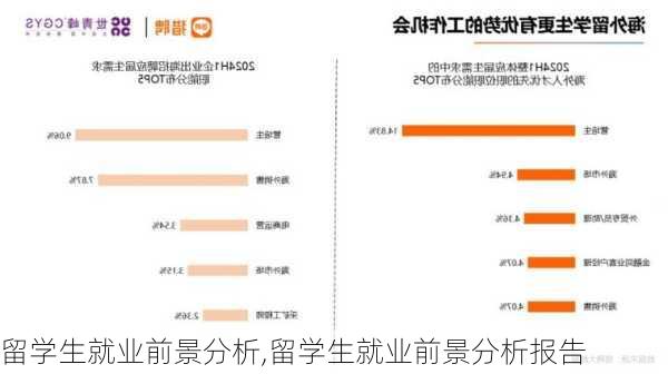 留学生就业前景分析,留学生就业前景分析报告