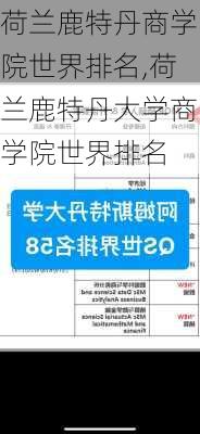 荷兰鹿特丹商学院世界排名,荷兰鹿特丹大学商学院世界排名