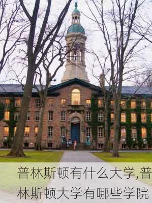 普林斯顿有什么大学,普林斯顿大学有哪些学院