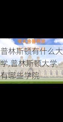 普林斯顿有什么大学,普林斯顿大学有哪些学院