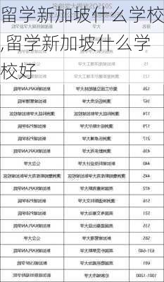 留学新加坡什么学校,留学新加坡什么学校好