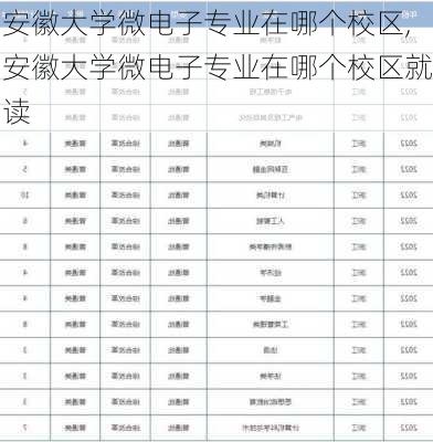 安徽大学微电子专业在哪个校区,安徽大学微电子专业在哪个校区就读