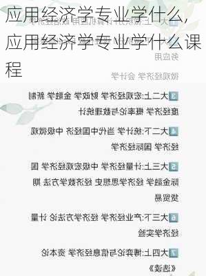 应用经济学专业学什么,应用经济学专业学什么课程