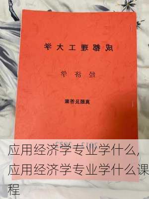 应用经济学专业学什么,应用经济学专业学什么课程