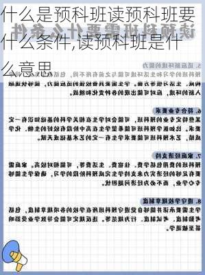 什么是预科班读预科班要什么条件,读预科班是什么意思