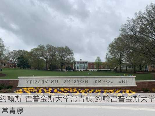 约翰斯·霍普金斯大学常青藤,约翰霍普金斯大学 常青藤