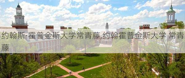 约翰斯·霍普金斯大学常青藤,约翰霍普金斯大学 常青藤