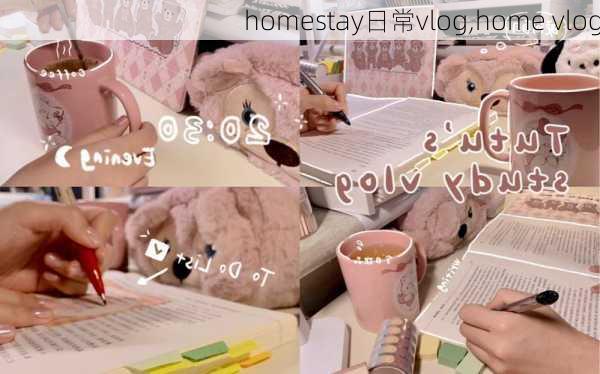 homestay日常vlog,home vlog