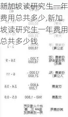 新加坡读研究生一年费用总共多少,新加坡读研究生一年费用总共多少钱