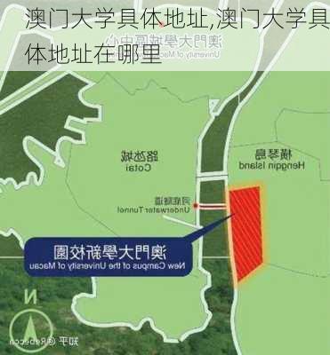 澳门大学具体地址,澳门大学具体地址在哪里