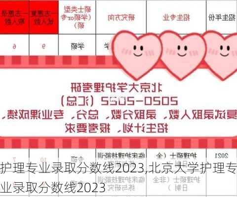 护理专业录取分数线2023,北京大学护理专业录取分数线2023