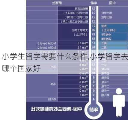 小学生留学需要什么条件,小学留学去哪个国家好