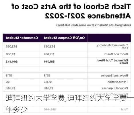 迪拜纽约大学学费,迪拜纽约大学学费一年多少