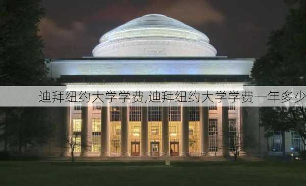 迪拜纽约大学学费,迪拜纽约大学学费一年多少