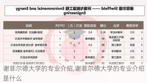 谢菲尔德大学的专业介绍,谢菲尔德大学的专业介绍是什么