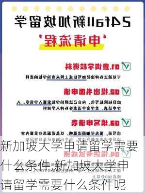 新加坡大学申请留学需要什么条件,新加坡大学申请留学需要什么条件呢