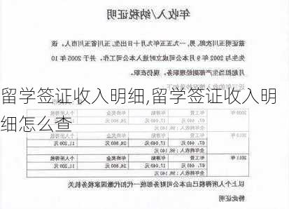 留学签证收入明细,留学签证收入明细怎么查