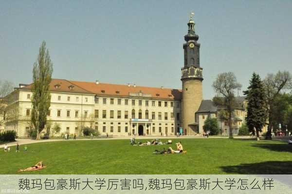 魏玛包豪斯大学厉害吗,魏玛包豪斯大学怎么样