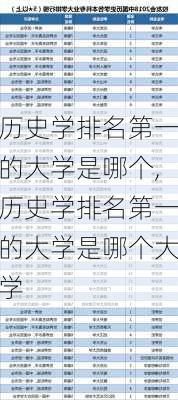 历史学排名第一的大学是哪个,历史学排名第一的大学是哪个大学