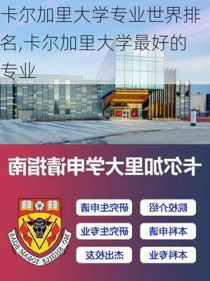 卡尔加里大学专业世界排名,卡尔加里大学最好的专业