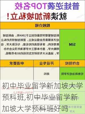 初中毕业留学新加坡大学预科班,初中毕业留学新加坡大学预科班好吗